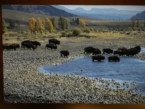 Arches National Park Offers Adventures for All