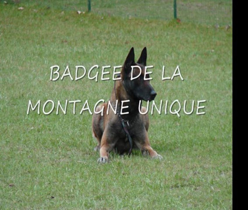 SansTitre_0002 BADGEE DE LA MONTAGNE UNIQUE