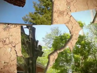 Tree Service Pro-Cut (620) 271-0478