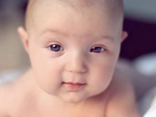 Photographer Berkeley: Boost Your Business Ranking