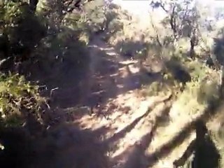 Descente VTT  Chartreuse les boulou