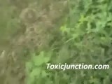 Video - Biker Crashes Head-on to Another Biker on Mountain Road - ToxicJunction.com