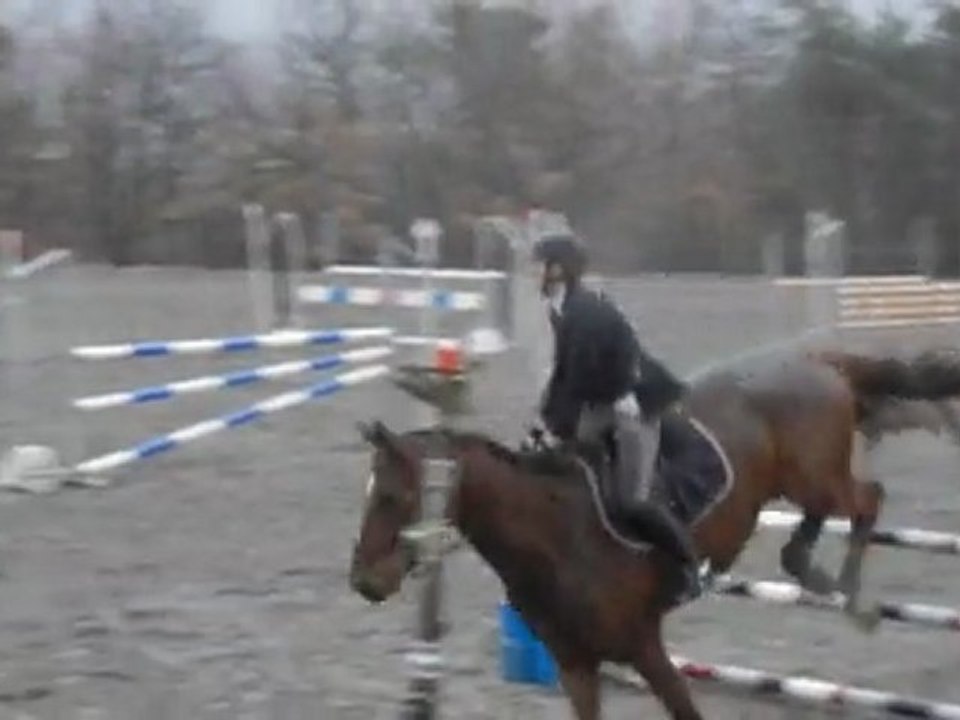 Newland sur la 105 cm