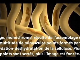 L'Evangile du Linceul de Turin. Vidéo 4. L'absence de peinture.