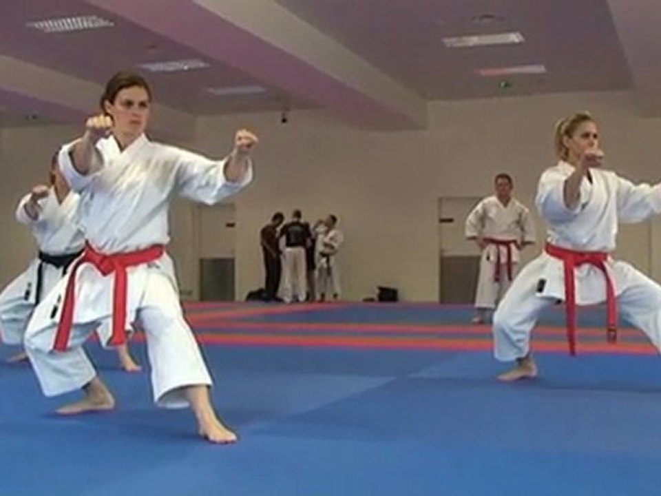 Stage Equipe de France Karaté Kata - 15 au 17 Mars 2012