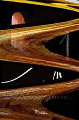 Kendi Gerçeğine Seyir _ Sensin - ALİ BEKTAŞ (2)