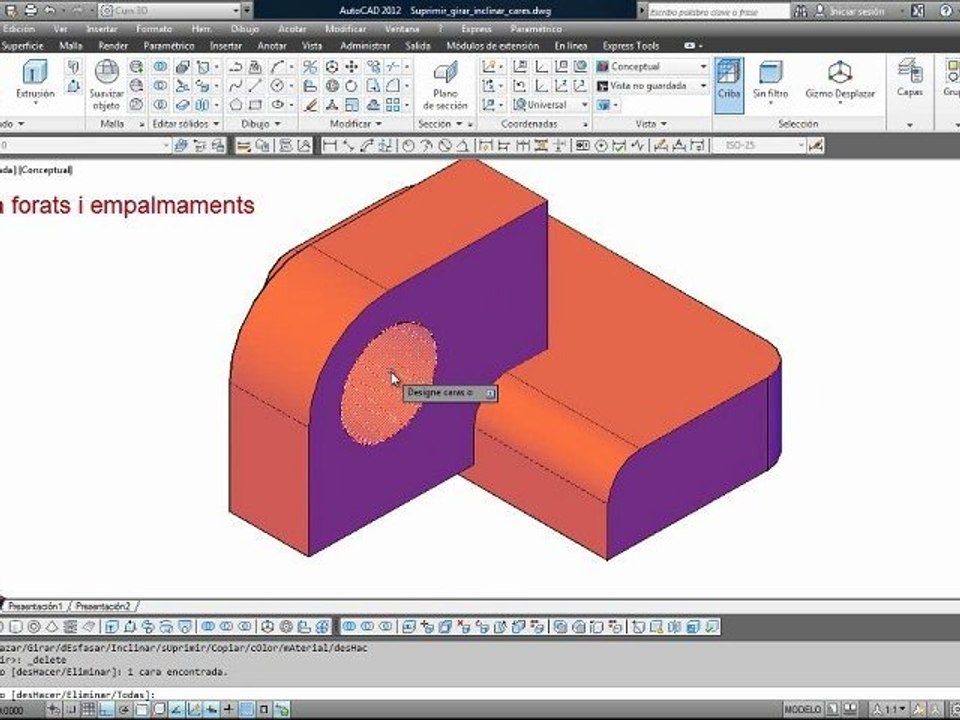 3d_esborrar cares