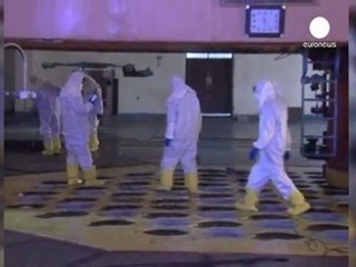 IAEA receives N.Korea invitation