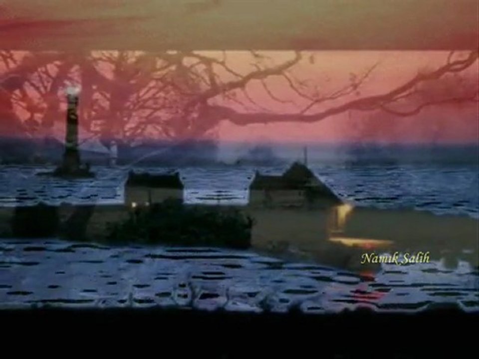 ANLADIM GİDECEKSİN... Namık SALİH...