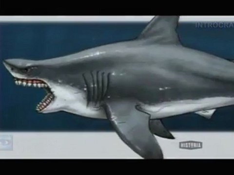 Bêtes de Légende, Dakuwaqa, Le Dieu-Requin - 2 de 3