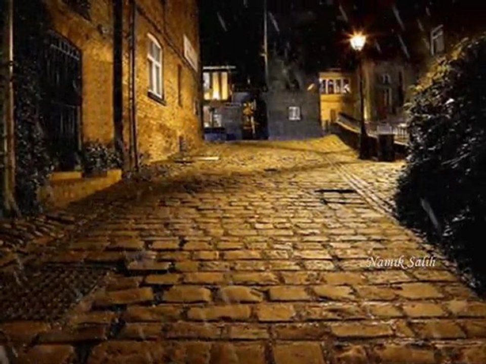 BU ŞEHİR AĞLADI GİDİŞİNE... Namık SALİH...