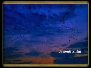 GEL ARTIK... Namık SALİH...