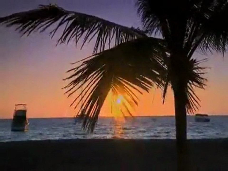 GÜNEŞ YENİDEN DOĞACAK... Namık SALİH...