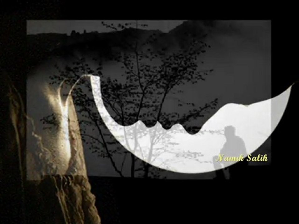 HALA BİR ŞEYLER EKSİK... Namık SALİH...