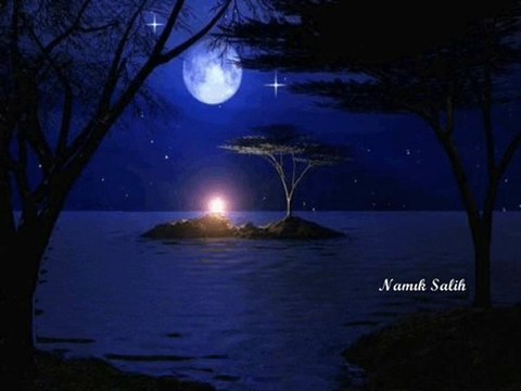 HİÇ BİTMESİN BU GECE... Namık SALİH...