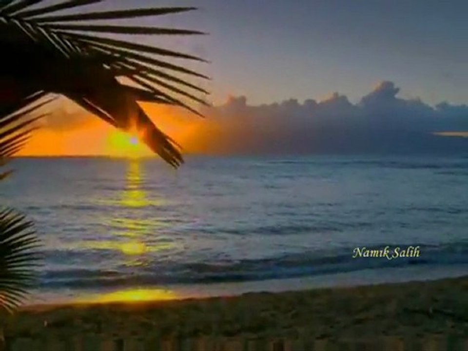 HİÇ TERKETMEDİ HAYALİN BENİ... Namık SALİH...