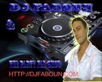 greyhound ( sweedish house mafia ) remix by dj faboun