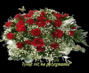 Tysiąc róż na pożegnanie