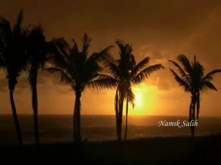 LÂL OLDu DİLİM SUSTUM... Namık SALİH...