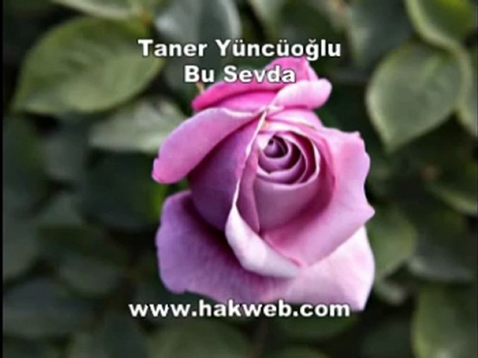 Taner Yüncüoğlu - Bu Sevda_xvid