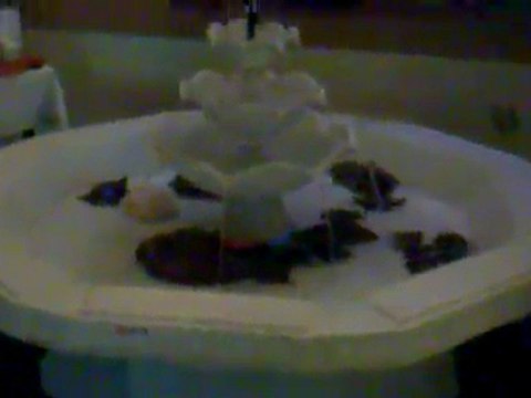 portatif kaskatlı fiber havuz balık kaplumbağa havuzu