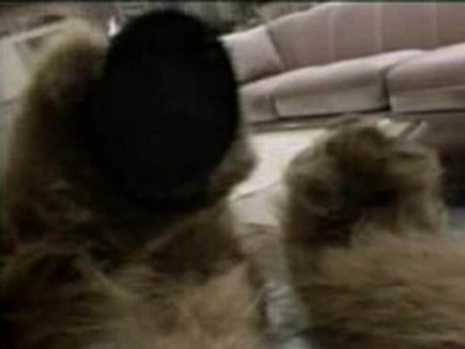 Alf s1-2