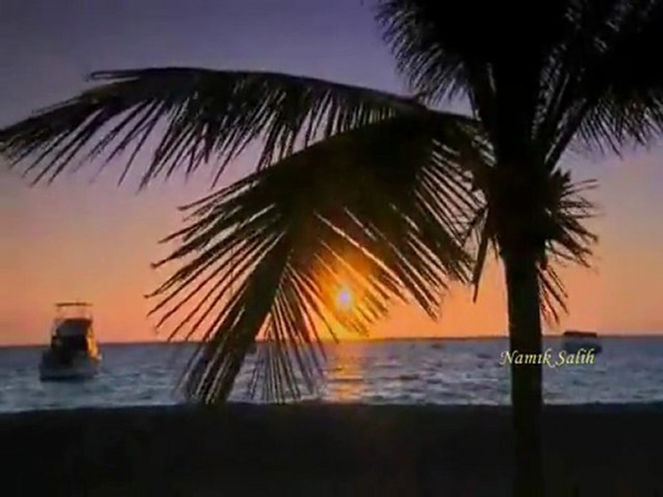 SEVİYORUM SANA DAİR NE VARSA... Namık SALİH...