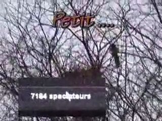 Petit à petit l'oiseau fait son nid.....le 18 mars 2012
