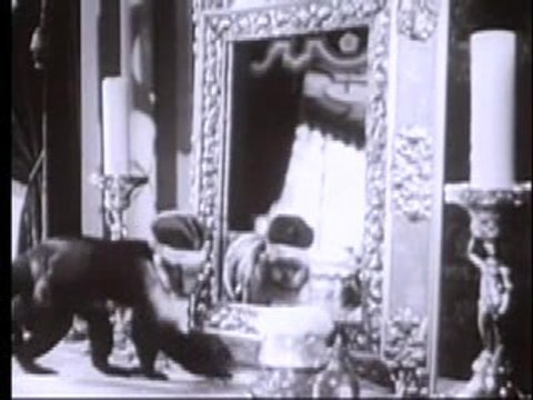 Warner 1940 Bloopers