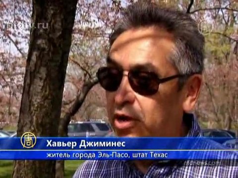 100-летие цветения сакуры отмечают в Вашингтоне