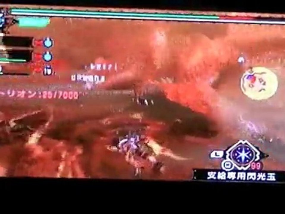 video detante sur monster hunter 3rd