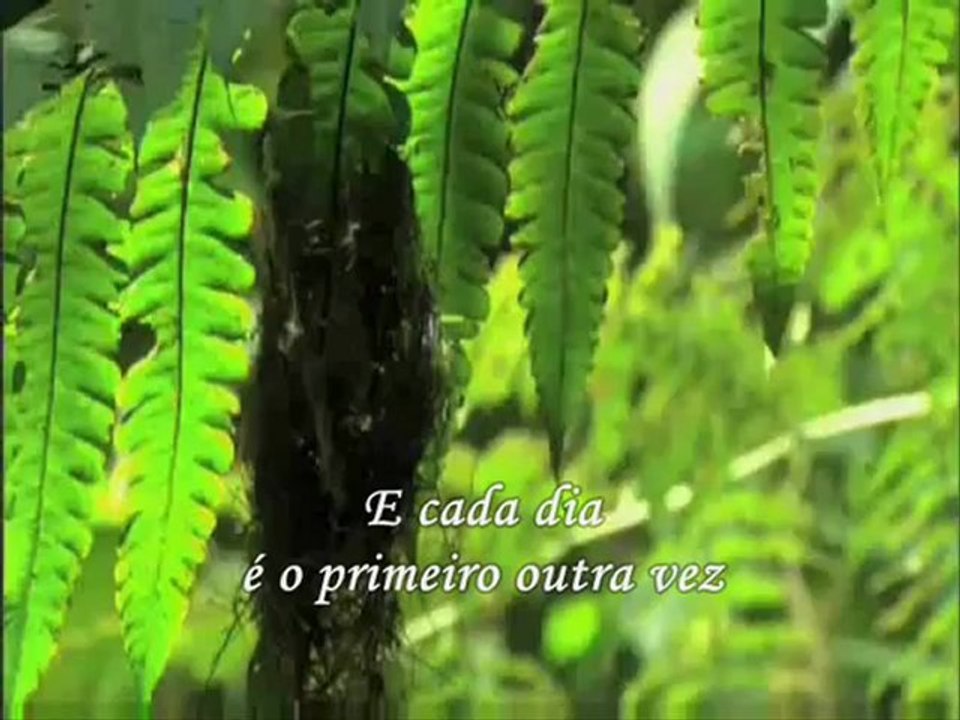 Fernanda Brum - Quando o amor toca o coração