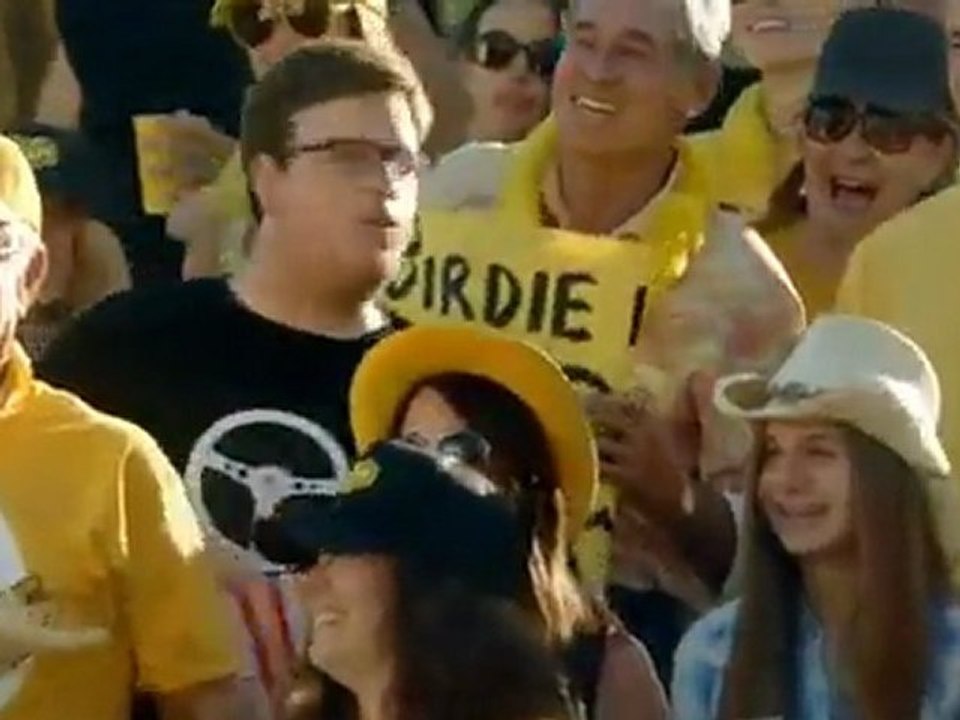 pub-centraal-beheer-achmea-birdie