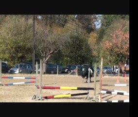 Le Hussard en concours, novembre 2011