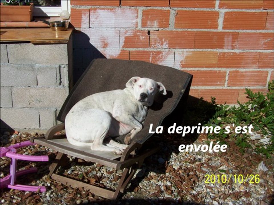 ptit  prince et ptite princesse