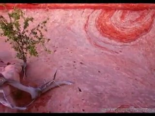 Lisa Gerrard - Devota (Ashes and Snow_Lisa Gerrard_Patrick Cassidy)