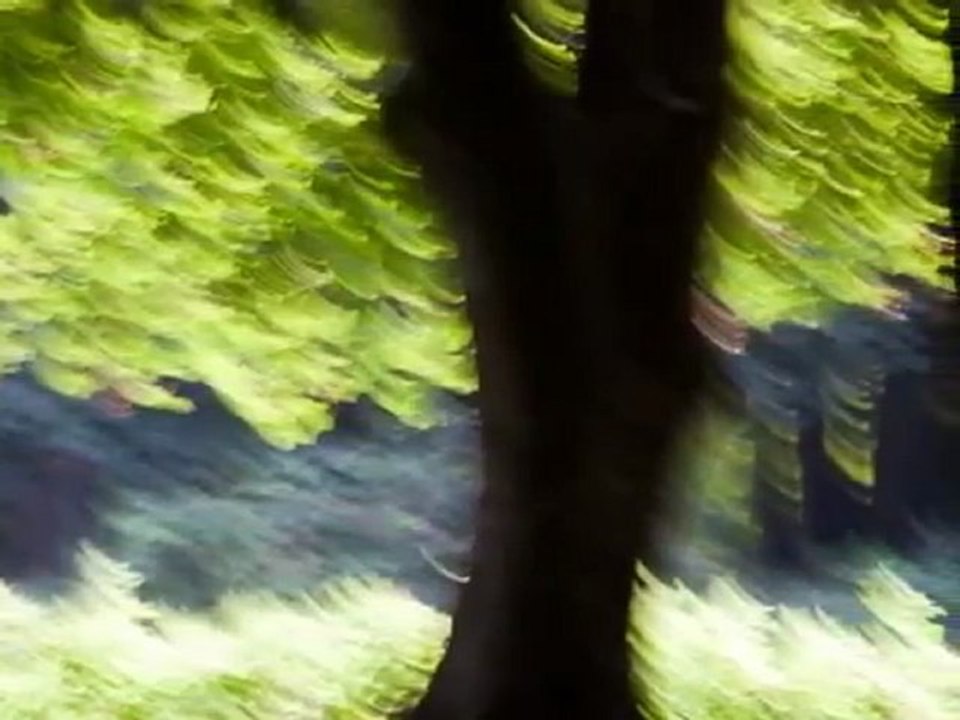 Tracy Chapman - Change (w_ lyrics)