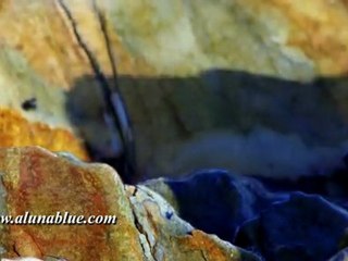 Hyper Nature 01 clip 02 - HD Stock Video Backgrounds