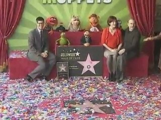 Muppets get star on Walk of Fame
