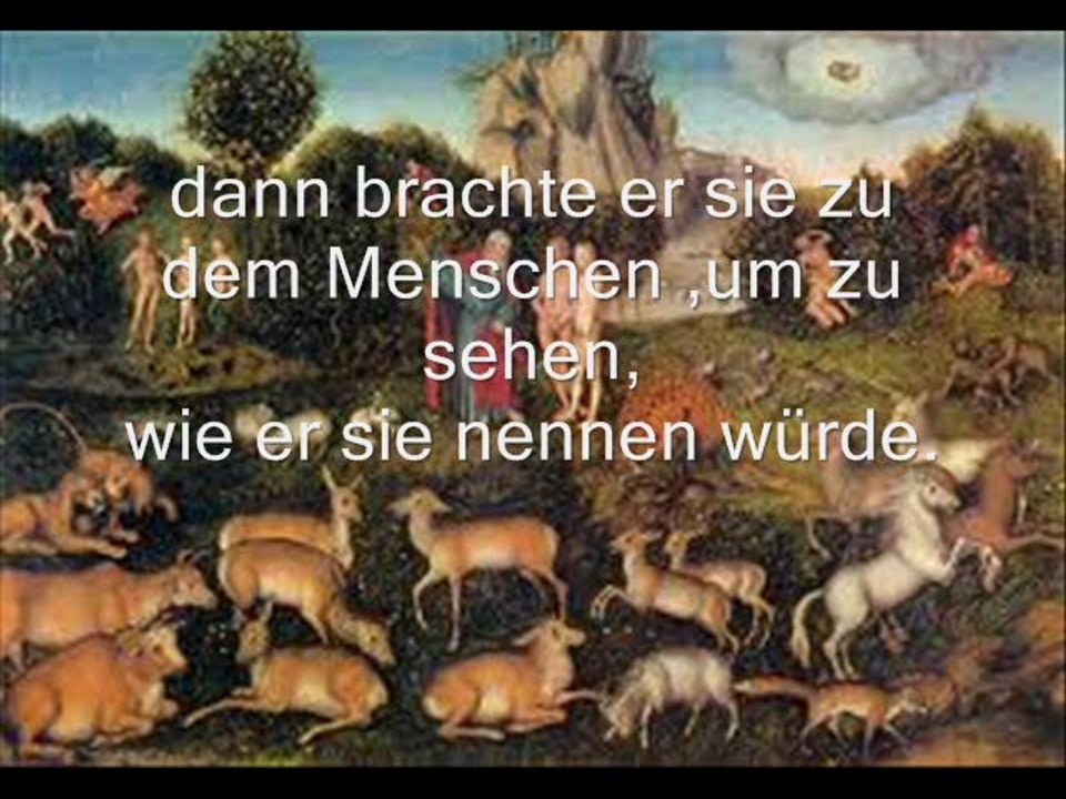 Filmclip Der Mensch im Paradies