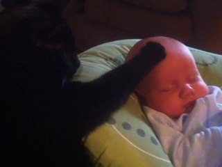 Cat Soothing Crying Baby To Sleep