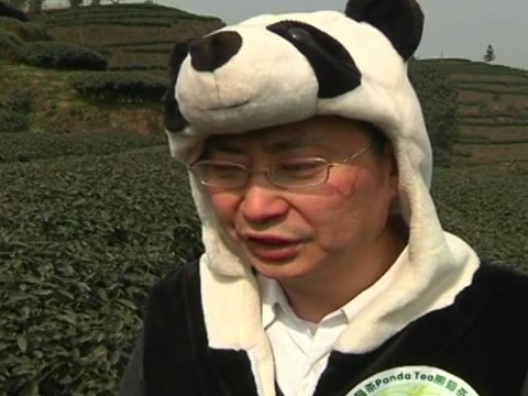 Chinese Man Grows World's Most Expensive Tea from Panda Dung