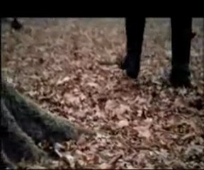 Amy Macdonald-Run