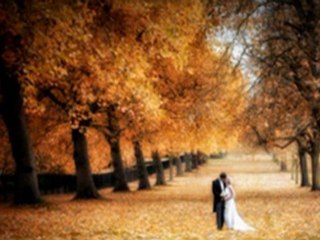 Photographer Windsor