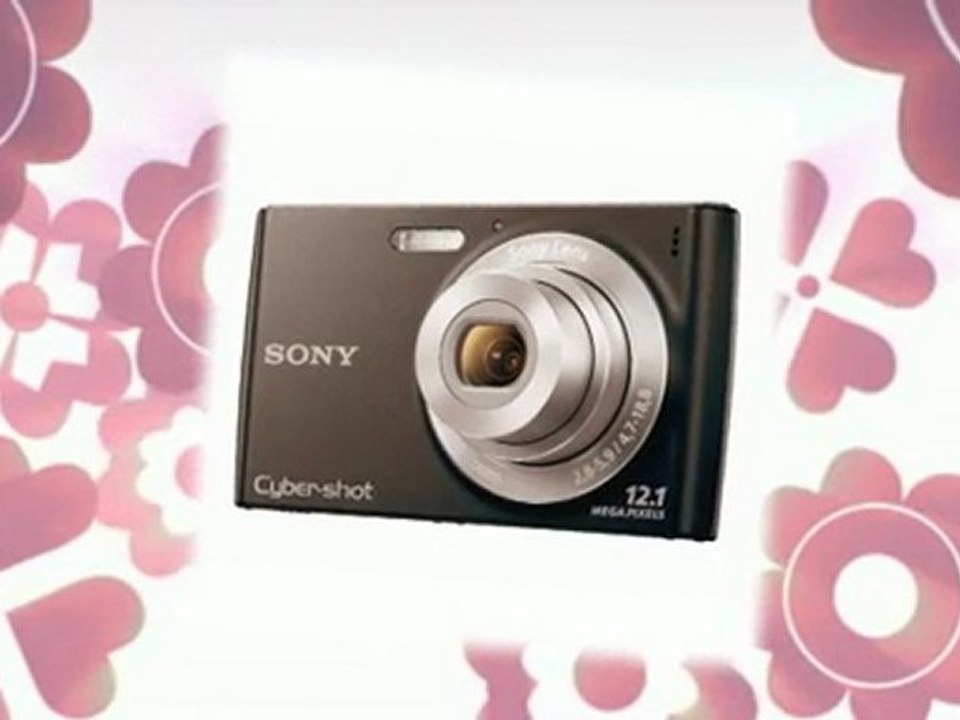 Best Price Review - Sony Cyber-Shot DSC-W510 12.1 MP ...