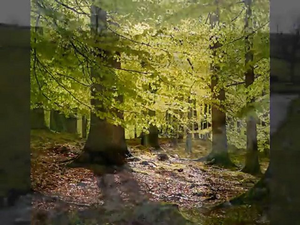 Vivaldi - Spring - YouTube