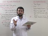 Açıköğretim 3.Sınıf Türk Vergi Sistemi