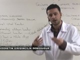 Açıköğretim 4.Sınıf Girişimcilik