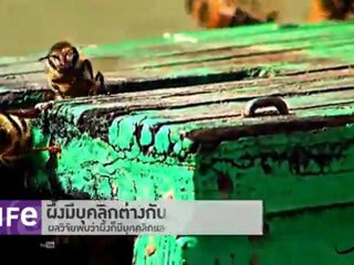 รายการ Life ประจำวันที่ 21 มีนาคม 2555 : กิจกรรมซิ่งรถสุดสัปดาห์