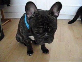 Fonzie... Ferme la porte !